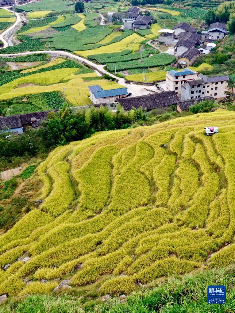 申慱菲律宾下载