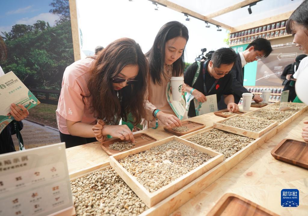 平博网站是什么